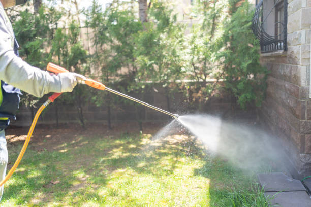 Best Pest Exclusion Services  in Salmon Creek, WA